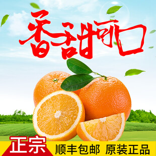 香甜可口的正宗新鲜橙子