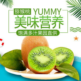 美味猕猴桃营养多效水果