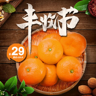丰收季橘子特惠29元
