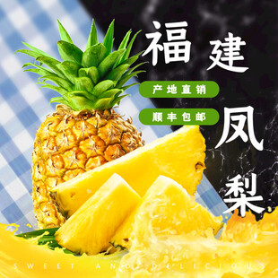 福建凤梨新鲜美味香甜多汁