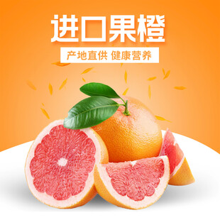 进口果橙展示新鲜诱人