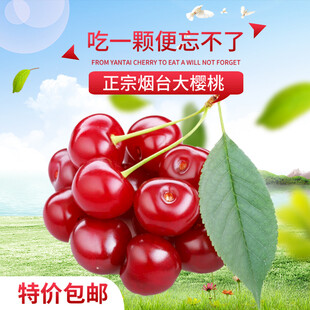 正宗烟台大樱桃特价包邮
