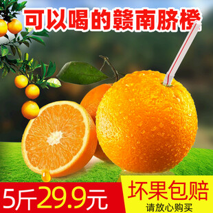 赣南脐橙5斤