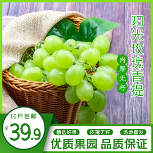 新鲜绿葡萄 39元1斤