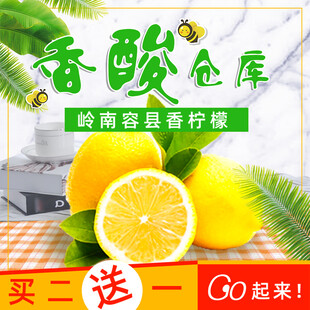 香酸仓库柠檬香氛柠檬片