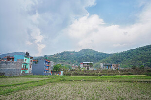 乡村田野与彩色建筑景观