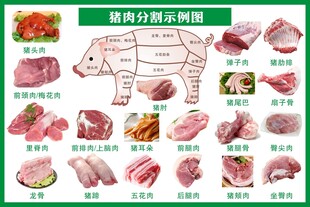 猪肉各部位分解示意图