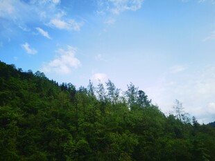 青山蓝天美景