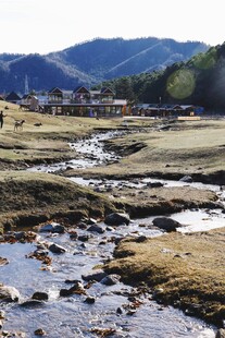 山间小溪穿流荒野美景
