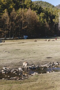 山间开阔草地自然景致