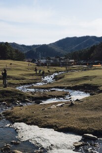 山间溪流与草地景观