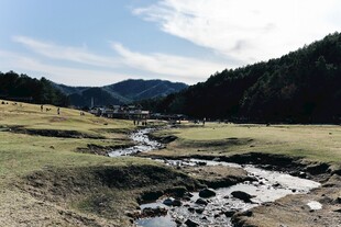山间溪流旁的开阔草地