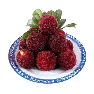 蓝白盘上的新鲜红杨梅