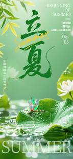 立夏时节   荷叶荷花初绽