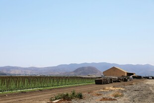 田野边的小屋与远山风景