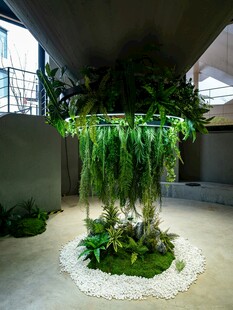 室内绿植景观生机盎然
