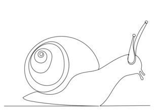简约线条蜗牛插画