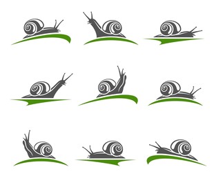 蜗牛矢量插画设计素材