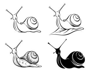 四幅蜗牛黑白插画