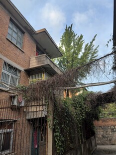 红砖房外的绿植藤蔓景象