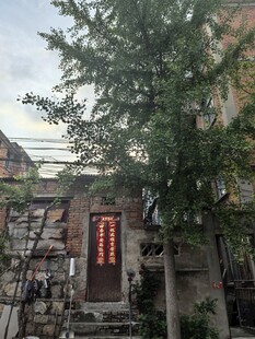 古朴小院门前繁茂绿树