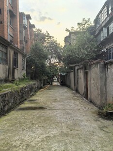 老旧小巷的静谧景象