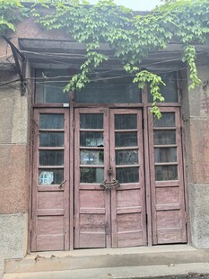 老旧木门旁的绿意藤蔓