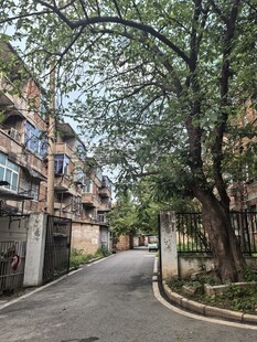 宁静小巷中的居民楼风景