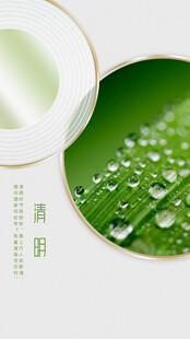 清新露珠绿植特写清明