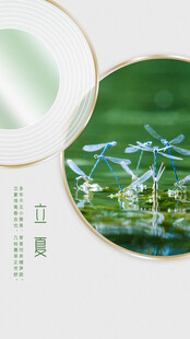 清新绿植自然风景画面立夏