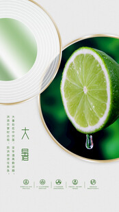 清新青柠大暑时节韵味