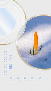 大雪节气中的橙色植物大寒