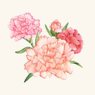 手绘粉色系美丽花卉图案