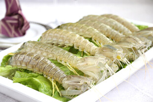 新鲜虾蛄
