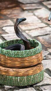 复古风蛇形木质装饰摆件