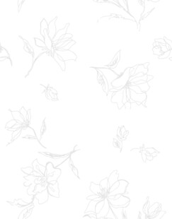 白色花卉简约纹理背景图