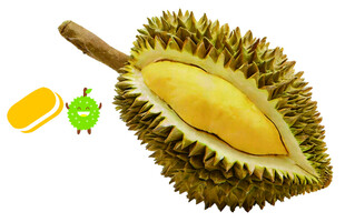 剥开的香甜榴莲果肉