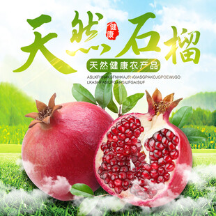 天然美味石榴果园鲜采