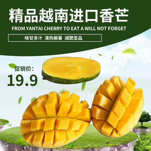精品越南进口香甜芒果