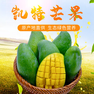凯特芒果饱满鲜果产地直供