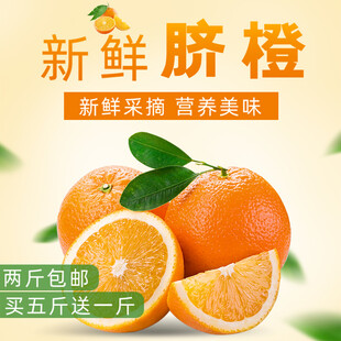 新鲜脐橙美味即刻送达