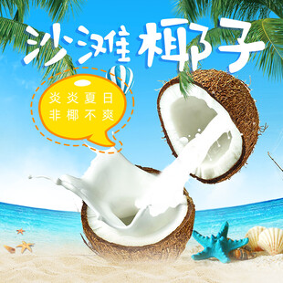 沙滩椰子开启清爽夏日