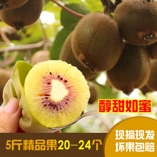 新鲜红心猕猴桃香甜多汁