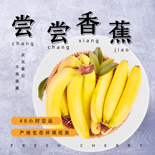 尝尝香甜香蕉