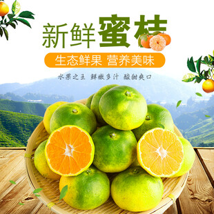 新鲜蜜桔自然好滋味
