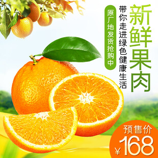 新鲜橙子果肉多汁诱人