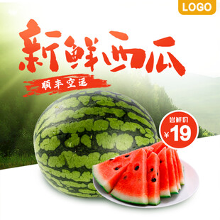 新鲜西瓜促销仅需19元
