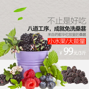 大果桑葚等浆果99元3斤