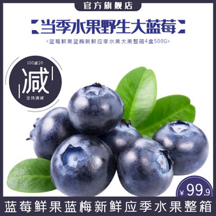 当季野生大蓝莓新鲜上架
