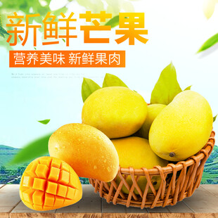 新鲜芒果美味多汁超诱人